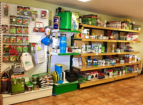 tienda zalsa copia