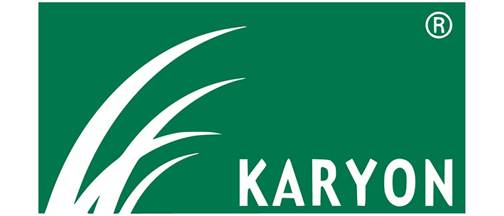 Karyon logo