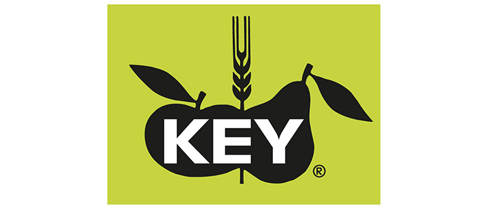 Key Logo