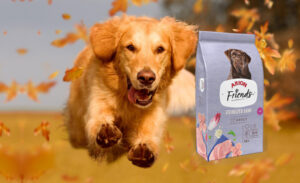 ARION FRIENDS STERILIZED LIGHT 3 Y 14KG