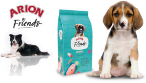 ARION FRIENDS JUNIOR 3 Y 14KG