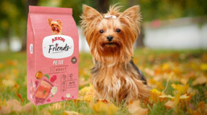 ARION FRIENDS PETIT 3 Y 9KG