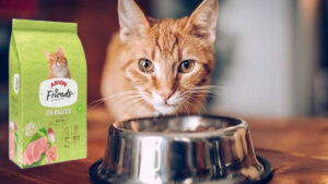 Arion Friends Cat Sterilized 2 y 9 kg