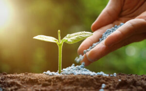 fertilizantes liberación controlada